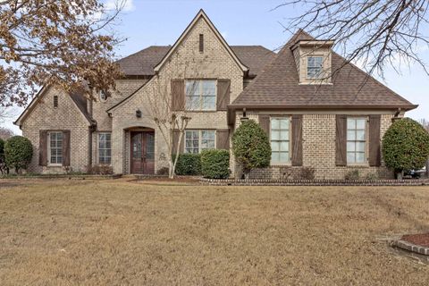 Photo of 580 WINDING VALLEY CV, Collierville, TN 38017 (MLS # 10223783)