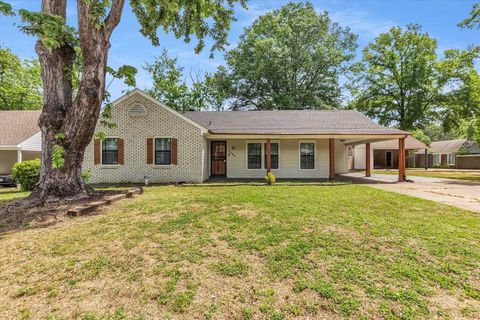 4890 FERNBROOK DR Memphis TN 38118