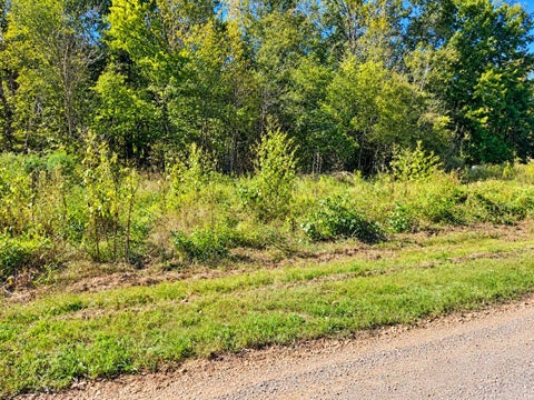 Photo of 15 TOWBOAT LN, Adamsville, TN 38310 (MLS # 10232784)