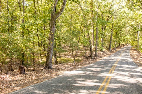 Photo of 0 DONELLSON RD, Arlington, TN 38002 (MLS # 10232274)