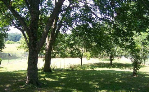 Photo of 5365 CESSNA RD, Memphis, TN 38109 (MLS # 10231904)