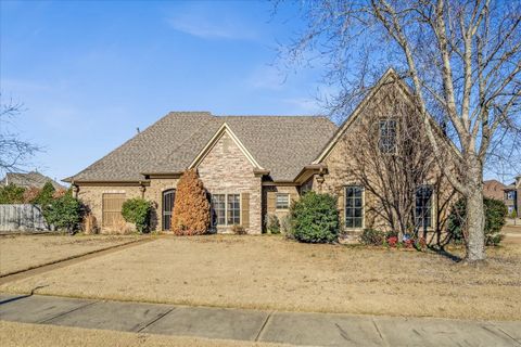 Photo of 4234 DAWSON RIDGE DR, Millington, TN 38053 (MLS # 10213672)