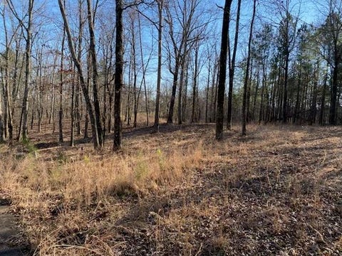Photo of 3595 NORTHSHORE DR, Savannah, TN 38372 (MLS # 10224684)