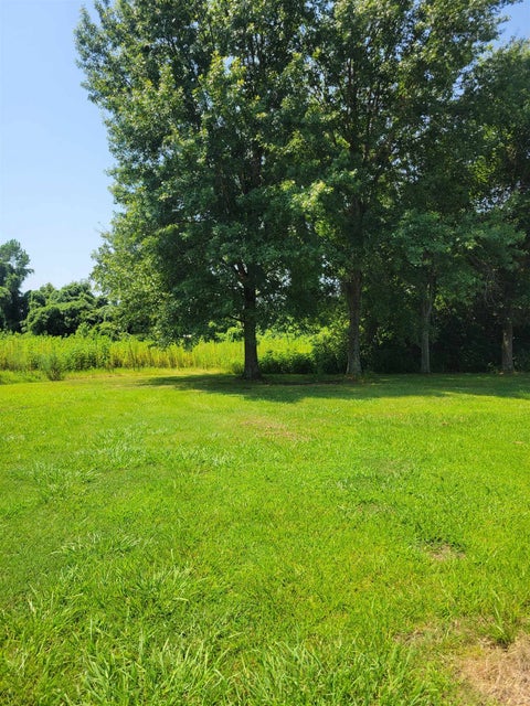 Photo of 140 HALLIBURTON AVE, Ripley, TN 38063 (MLS # 10229093)