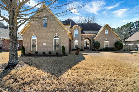 Photo of 245 AMBER WAVES LN, Collierville, TN 38017 (MLS # 10215221)