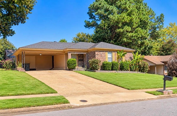 3694 WORDSWORTH AVE, MEMPHIS, TN 38128 - Image ca54d981a9ccbdd27c0f6437e56b2b5b/4054888611
