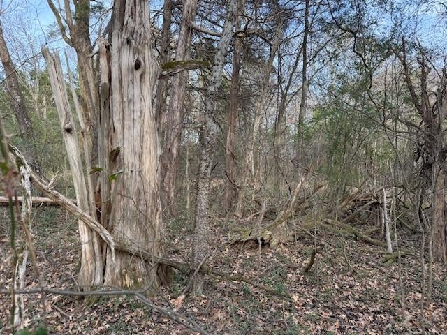 182 AC. COLLIERVILLE ARLINGTON RD