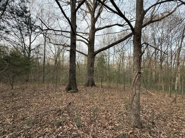 182 AC. COLLIERVILLE ARLINGTON RD