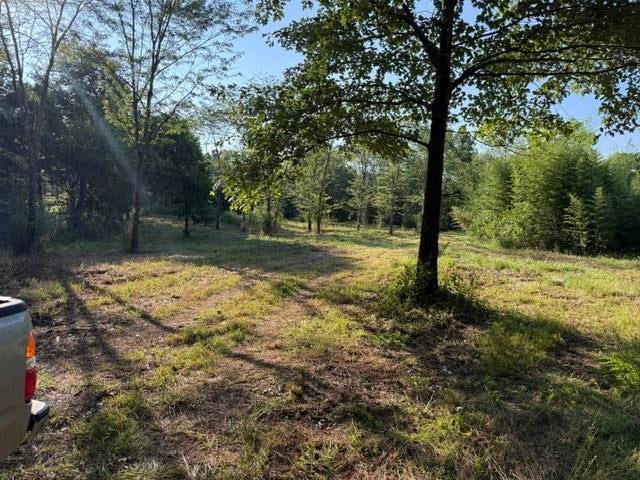 182 AC. COLLIERVILLE ARLINGTON RD