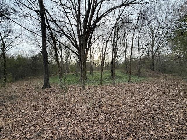 182 AC. COLLIERVILLE ARLINGTON RD