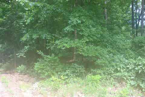 Photo of YMCA S MUSCATEL & YMCA LN, Counce, TN 38326 (MLS # 10020469)
