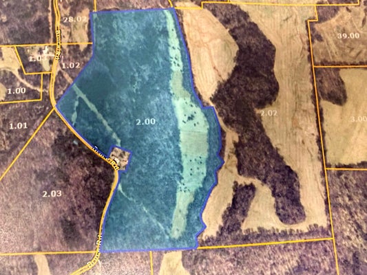 BRUCE RD, WHITEVILLE, TN 38075 - Image cdc877f05b6df504a257f5fc2b37d068/1954643760