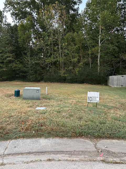 Photo of 9863 MAGGIE WOODS LN, Memphis, TN 38002 (MLS # 10232892)