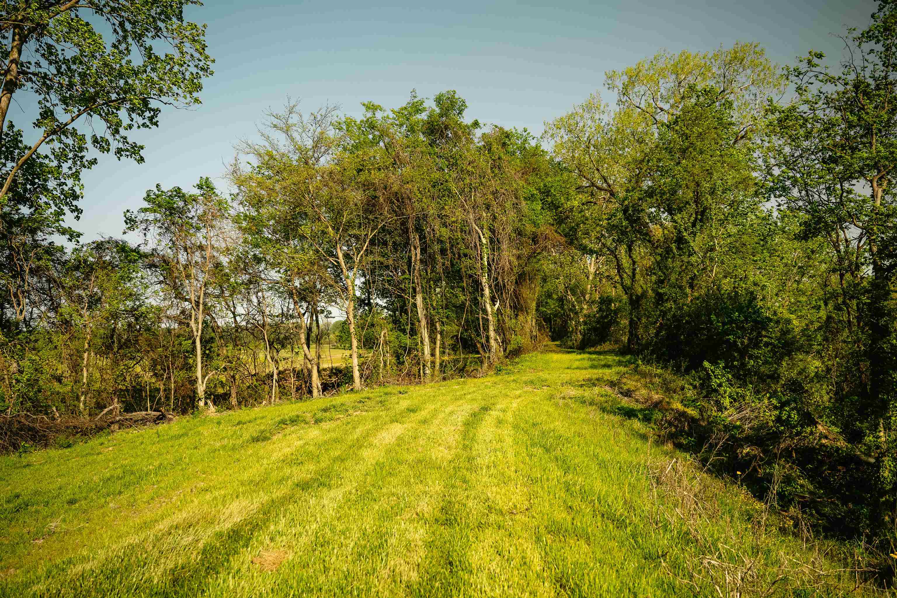 1229 TAR HILL RD