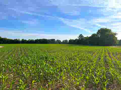 Photo of 11385 18 HWY, Bolivar, TN 38008 (MLS # 10220844)
