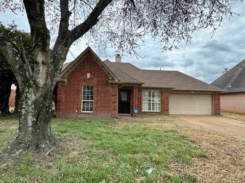 Photo of 4316 HUGHES MEADOW CV, Unicorp/Memphis, TN 38125 (MLS # 10216102)