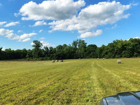 Photo of 000 LOVELACE CROSSING RD, Henning, TN 38041 (MLS # 10217624)