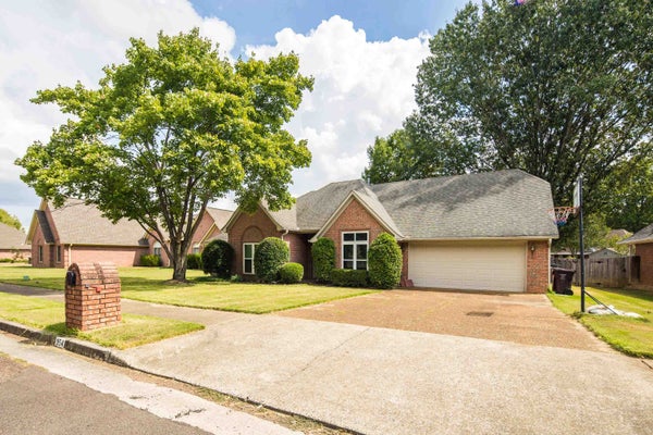 954 WILDBIRD CV, COLLIERVILLE, TN 38017 - Image d42e27cd66215bad439d2f97276a6d52/2789258368