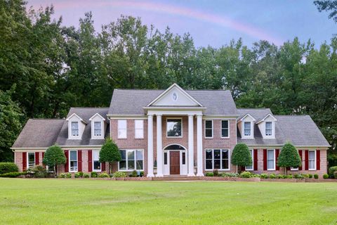 Photo of 10555 SPARKLE CREEK CV E, Eads, TN 38028 (MLS # 10203331)