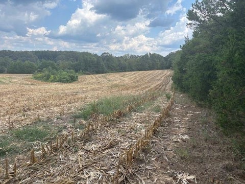 Photo of 0 BASS RD, Middleton, TN 38052 (MLS # 10207863)
