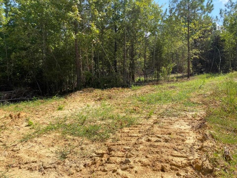 Photo of OTIS PAINE RD, Bethel Springs, TN 38315 (MLS # 10228885)