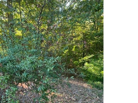 Photo of 425 HICKORY WOODS LN, Eads, TN 38028 (MLS # 10231724)