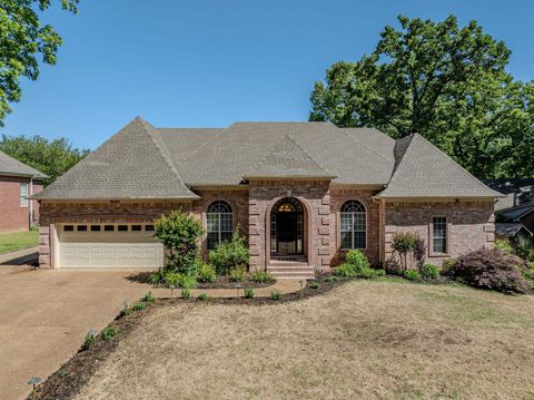 Photo of 9650 WHITE SPRUCE DR, Lakeland, TN 38002 (MLS # 10221099)