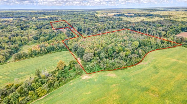 HILLVILLE LOOP, WHITEVILLE, TN 38075 - Image dab5bfb6ba8e9cbfdd942f236e77fd6f/2240179502
