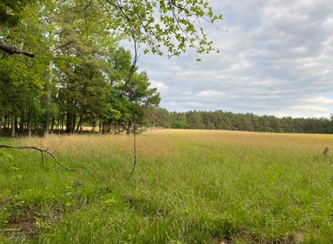 Photo of 330 LICK CREEK RD, Michie, TN 38357 (MLS # 10196014)