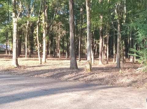 Photo of 0 HICKS RD, Oakland, TN 38060 (MLS # 10225289)