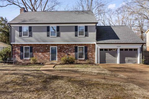 Photo of 2447 BIRCHTREE DR, Germantown, TN 38138 (MLS # 10213946)