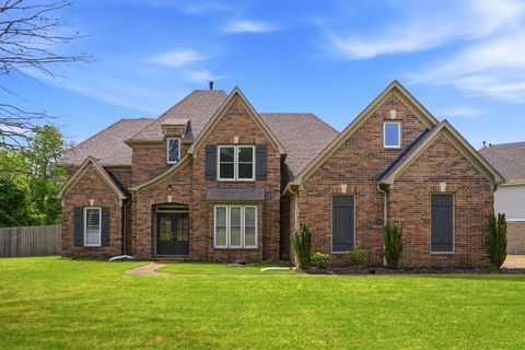 Photo of 4669 SHIRA DR, Bartlett, TN 38002 (MLS # 10219797)