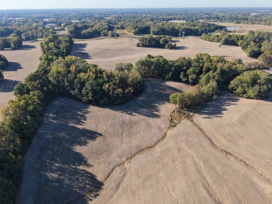 MULBERRY RD, MILLINGTON, TN 38004 - Image dca733a2cd35507c1ff8c2efb8b62f23/2862678742