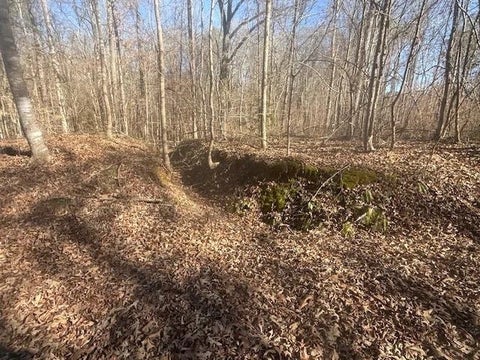 Photo of TRACT 1 GEORGE WALTER RD, Bolivar, TN 38008 (MLS # 10232239)
