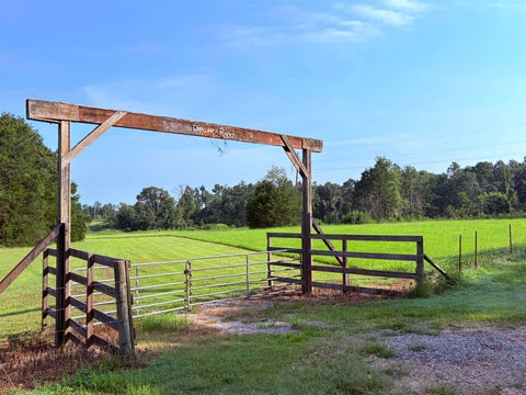 Photo of 0 VAN BUREN RD, Saulsbury, TN 38067 (MLS # 10229998)