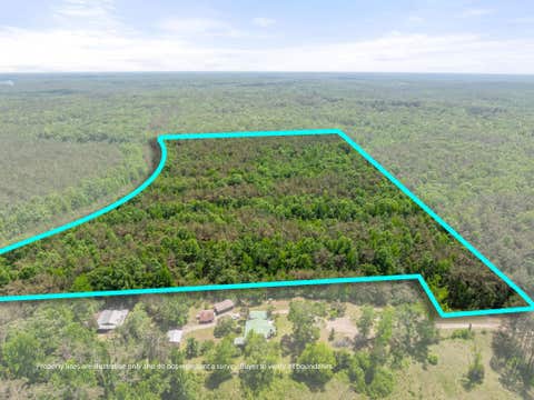 Photo of TBD COUNTY ROAD 377 RD, Burnsville, MS 38833 (MLS # 10221313)