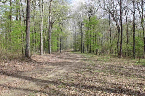 Photo of 000 ESTANAULA RD, Brownsville, TN 38012 (MLS # 10218565)