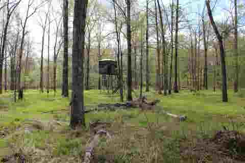 Photo of 000 ESTANAULA RD, Brownsville, TN 38012 (MLS # 10218565)