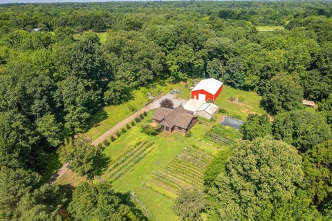 Photo of 4637 EDITH NANKIPOO RD, Ripley, TN 38063 (MLS # 10223787)