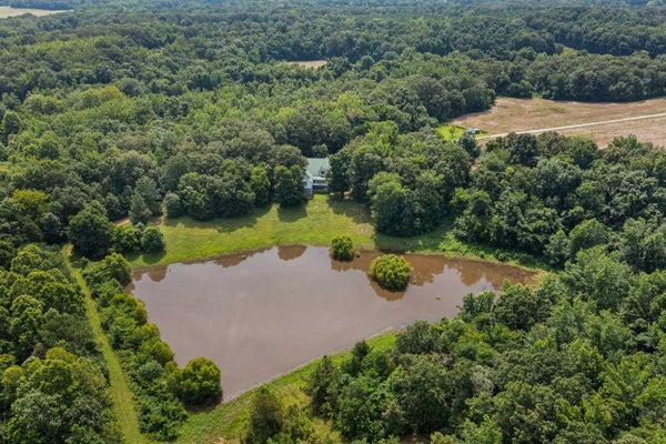 3890 AMES RD, HICKORY VALLEY, TN 38042 - Image e238d5e64bbe2f97aad3b8b2106bf65d/3249620201