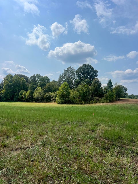 Photo of TRACT 6 ANDREW RD, Unincorporated, TN 38049 (MLS # 10232996)