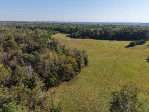 Photo of 000 BURGESS LOOP RD, Middleton, TN 38052 (MLS # 10212654)