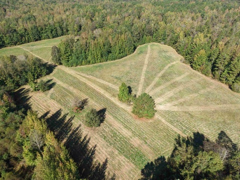 Photo of 000 BURGESS LOOP RD, Middleton, TN 38052 (MLS # 10212654)