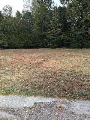 2718 VIRGINIA WOODS PL, ARLINGTON, TN 38002 - Image e30b4b5c67c7c49fe59ab2cfd948cfca/3709491976