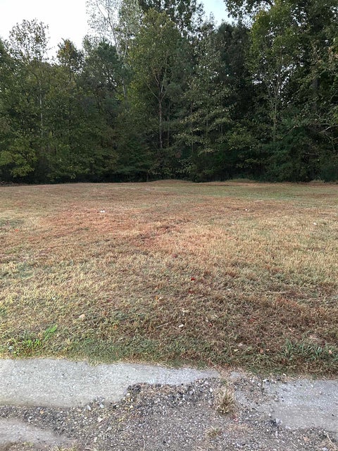 Photo of 2718 VIRGINIA WOODS PL, Memphis, TN 38002 (MLS # 10232889)