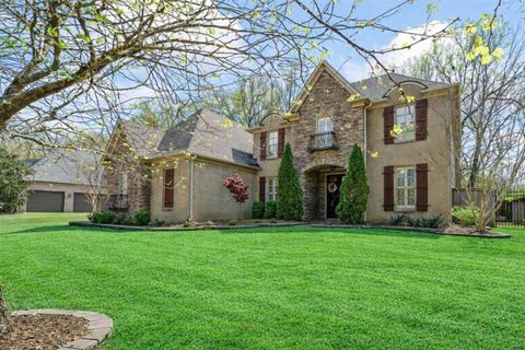 Photo of 11979 HENNING OAKS LN, Arlington, TN 38002 (MLS # 10217919)