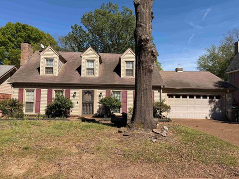 Photo of 4154 OLD VILLAGE LN, Memphis, TN 38125 (MLS # 10220230)