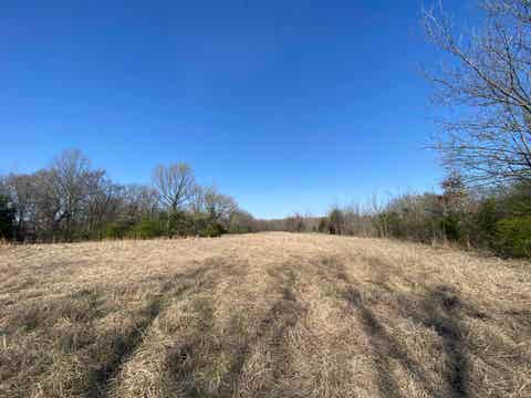 Photo of 12.79 AC WIRT RD, Oakland, TN 38060 (MLS # 10219502)
