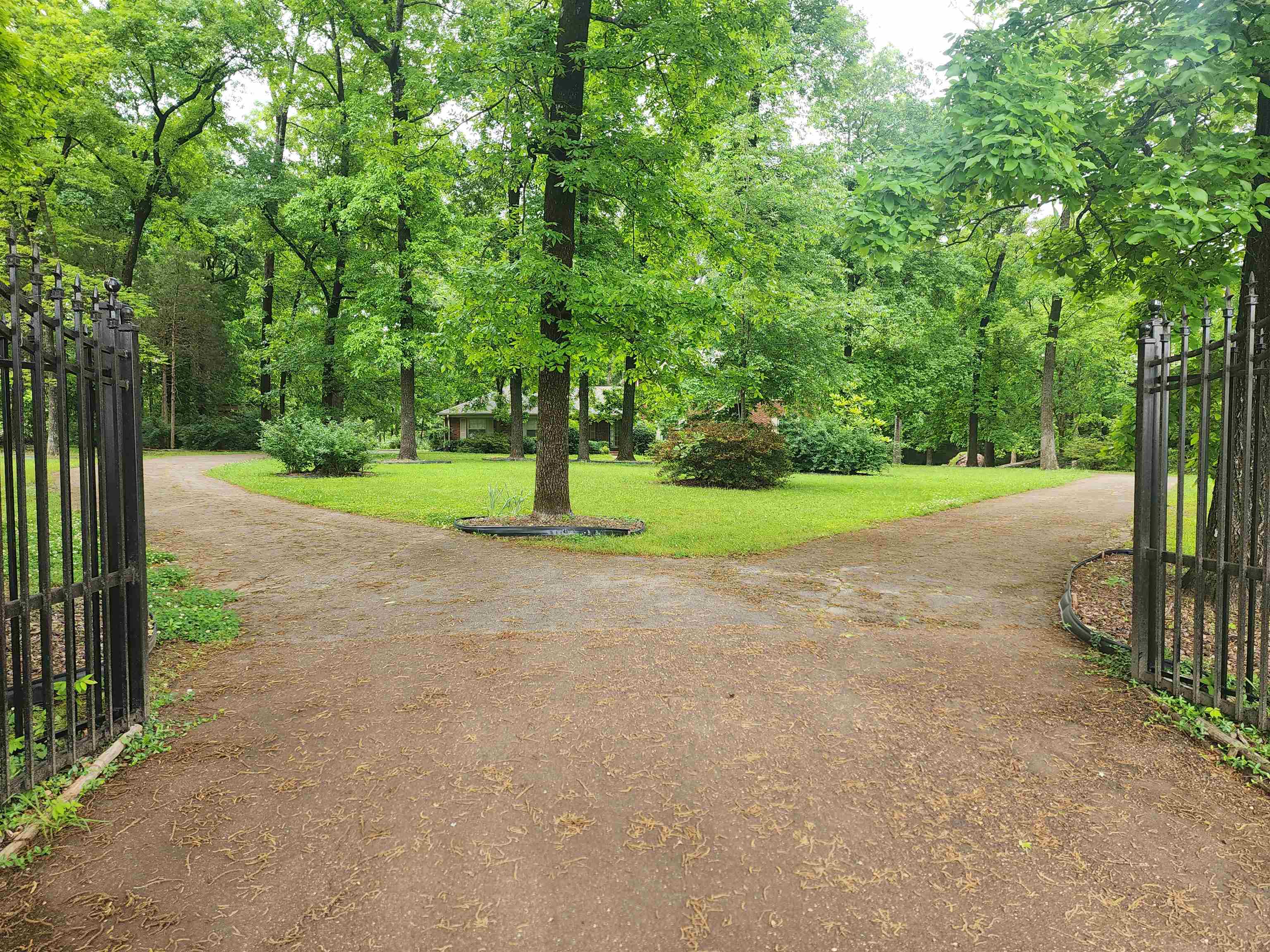 3676 FOREST HILL-IRENE RD