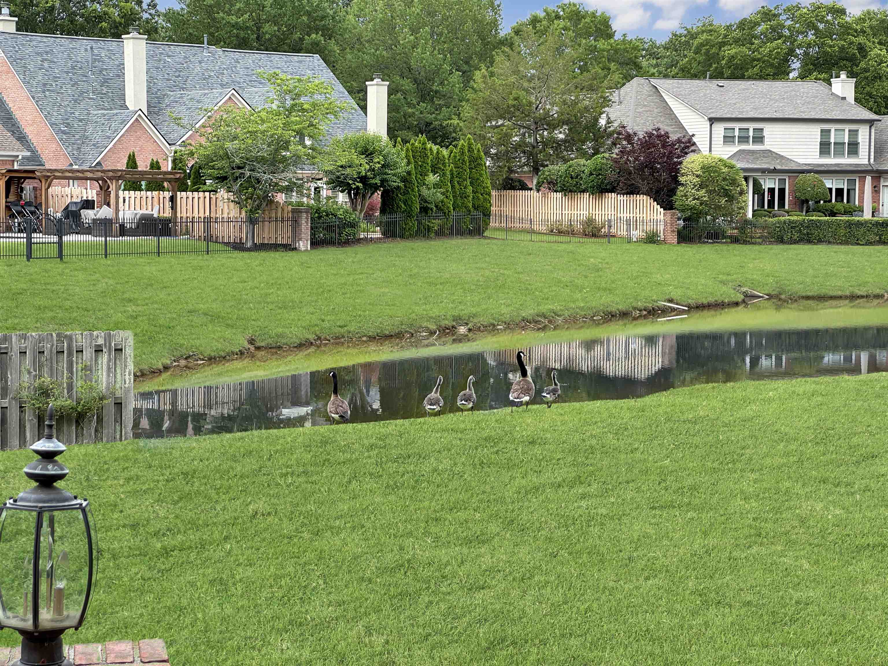 Collierville, Tennessee 38017, United States, 4 Bedrooms Bedrooms, ,4 BathroomsBathrooms,Residential,Active,142430